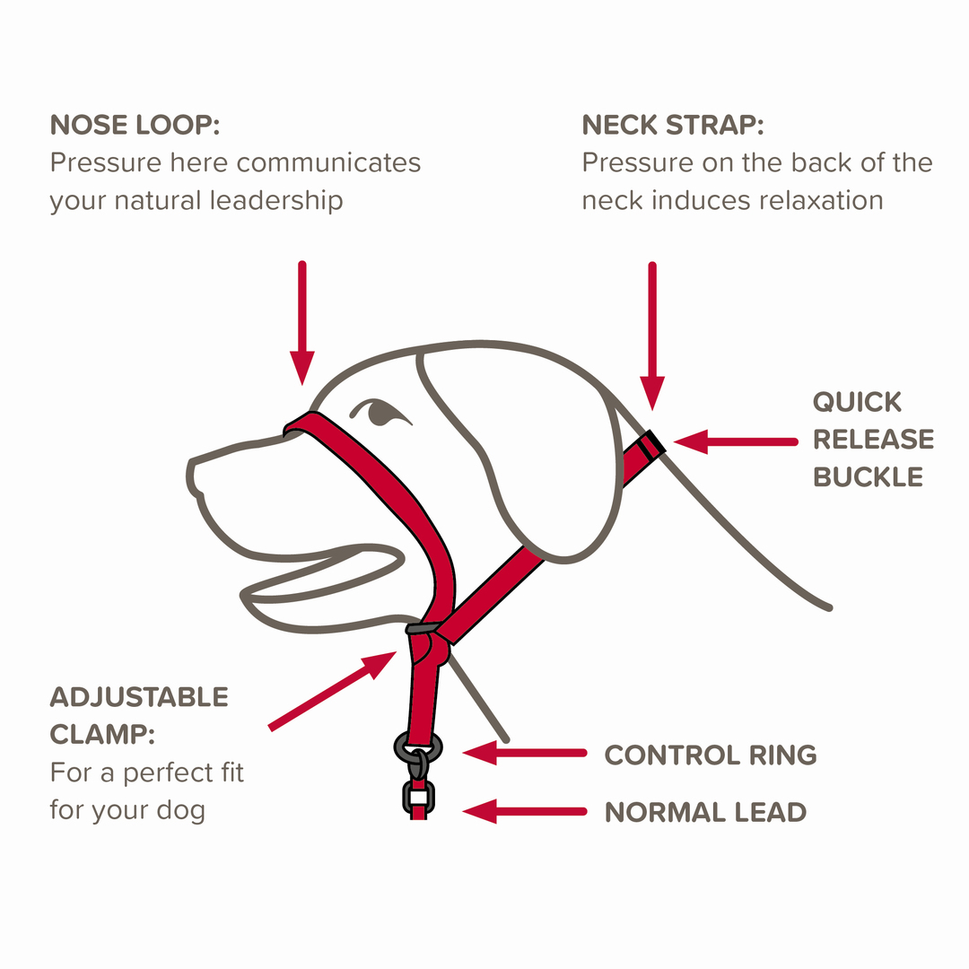 Beaphar Gentle Leader® stop your dog from pulling on the lead Beaphar